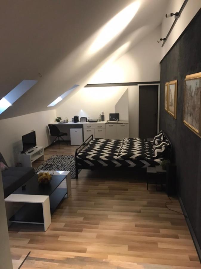 Savoya Nr3 Studio Old City Center Self Check-In Timisoara Exterior foto